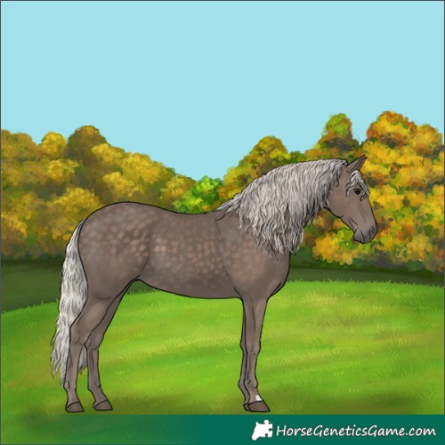 Horse Color:Silver Black 