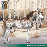 Horse Color:White Spotted Liver Red Dun Splash Brindle  and Gold Champagne Dun Splash Brindle 