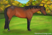 Horse Color:Brown 