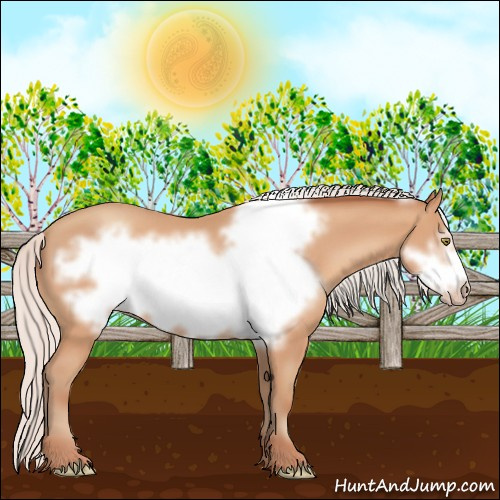 Horse Color:Silver Amber Champagne Frame