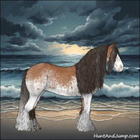 Horse Color:White Spotted Bay Splash  and White Spotted Bay Splash 
