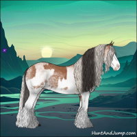 Horse Color:White Spotted Bay Splash  and White Spotted Silver Bay Splash 