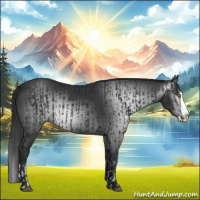 Horse Color:Black Splash Rabicano  and Gray Black Splash Rabicano 