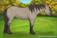 Horse Color:Smoky Grullo 