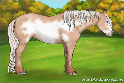 Horse Color:Silver Amber Champagne Frame 