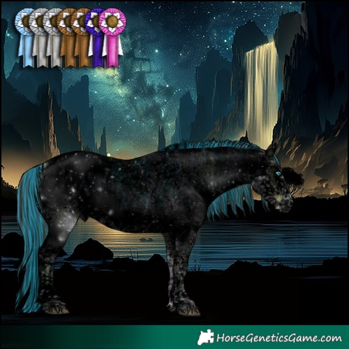 Horse Color:Void Painted Plaid Grullo Ice Roan Onyx Splash Tobiano Blanket