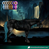 Horse Color:Void Painted Plaid  Grullo Ice Roan Onyx Splash Tobiano Appaloosa 