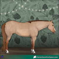 Horse Color:Red Dun 