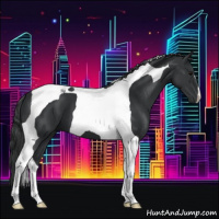 Horse Color:Black Tobiano 