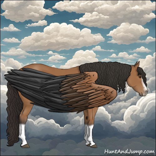 Horse Color:Bay Splash Frame 