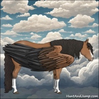 Horse Color:Bay Splash Frame 