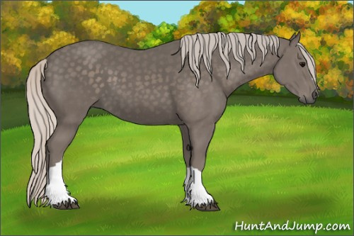 Horse Color:Silver Black 