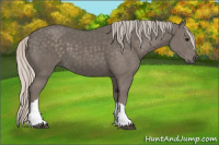 Horse Color:Silver Black 