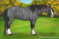 Horse Color:Blue Roan Sabino Splash  and Blue Roan Sabino Splash 