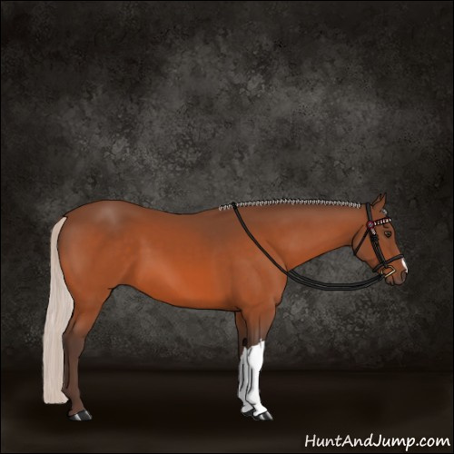 Horse Color:Silver Brown