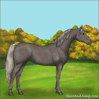 Horse Color:Silver Black 