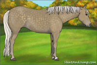 Horse Color:Silver Smoky Black 