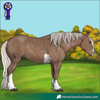 Horse Color:Silver Black Sabino Tobiano
