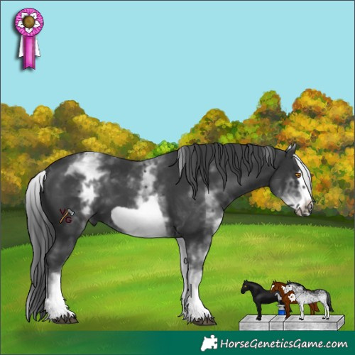 Horse Color:White Spotted Black Frame 