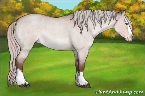 Horse Color:Silver Brown Roan Dun Sabino Splash 