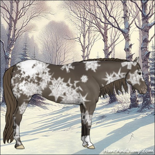 Horse Color:Smoky Black Ice Appaloosa 