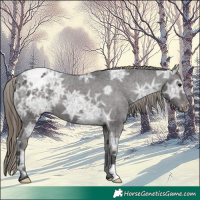 Horse Color:Smoky Black Ice Varnish 