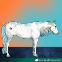 Horse Color:Watercolor Bay Sabino Frame