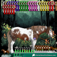 Horse Color:White Spotted Liver Chestnut Splash Tobiano Frame Rabicano 