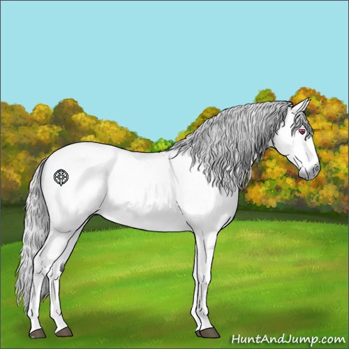 Horse Color:Silver Buckskin Chinchilla Tobiano 