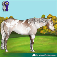 Horse Color:Gray White Spotted Silver Brown Pearl Rabicano 