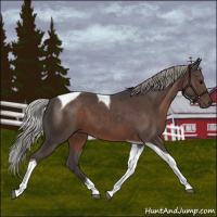 Horse Color:Silver Black Tobiano