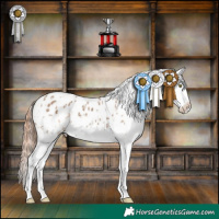Horse Color:Amber Champagne Splash Tobiano Appaloosa  and White Spotted Classic Champagne Splash Frame Appaloosa 