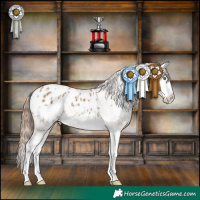 Horse Color:Amber Champagne Splash Tobiano Appaloosa  and White Spotted Classic Champagne Splash Frame Appaloosa 