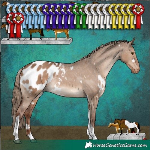 Horse Color:White Spotted Liver Red Dun Tobiano Blanket Rabicano 