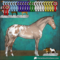 Horse Color:White Spotted Liver Red Dun Tobiano Appaloosa Rabicano 