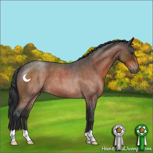 Horse Color:Brown Roan 
