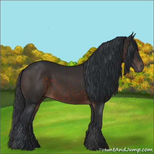 Horse Color:Brown 