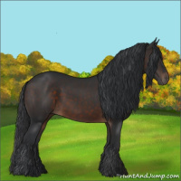 Horse Color:Brown 