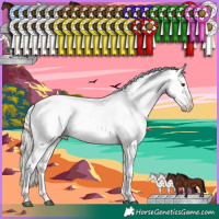 Horse Color:White Spotted Silver Smoky Grullo Tobiano Appaloosa 