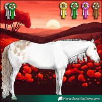 Horse Color:Buckskin Dun Appaloosa 