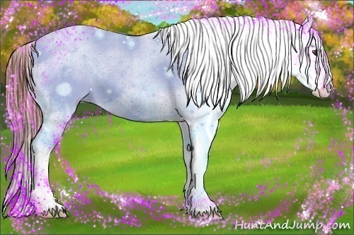 Horse Color:Chestnut Sabino Appaloosa 