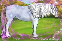 Horse Color:Chestnut Sabino Near Leopard