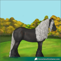 Horse Color:Liver Chestnut Mushroom 