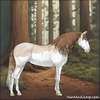 Horse Color:Grullo Roan Pearl Splash 