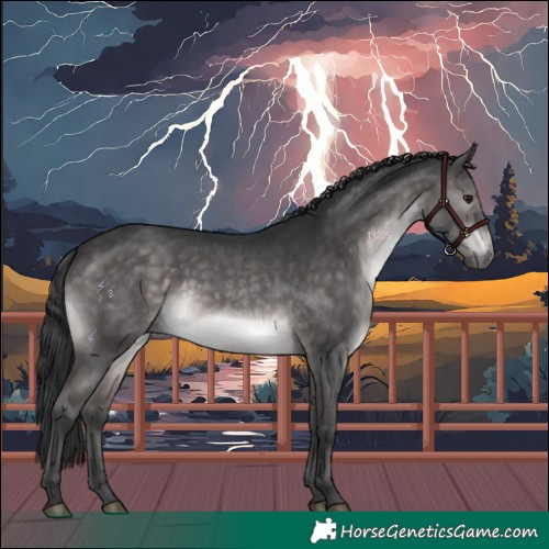 Horse Color:Platinum Brown Dun 