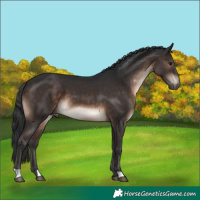 Horse Color:Brown Mushroom 