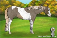 Horse Color:Chocolate Palomino Roan Splash Tobiano