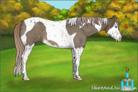 Horse Color:Chocolate Palomino Roan Splash Tobiano 