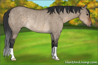 Horse Color:Brown Dun Rabicano 