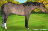 Horse Color:Brown Dun Rabicano 